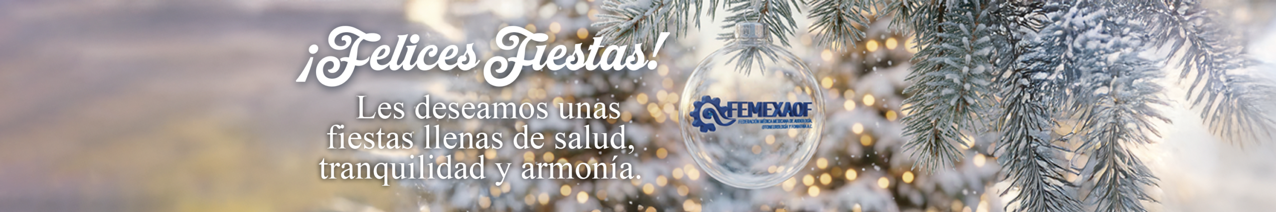 Felices Fiestas 2025